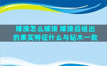 嫁接怎么嫁接 嫁接后结出的果实特征什么与砧木一致